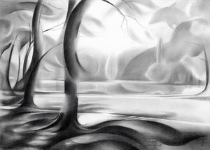 Riflesso nella foresta mistica