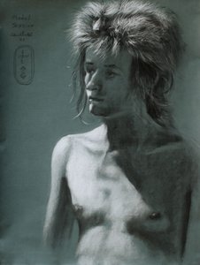 Ritratto con ombra di capelli selvaggi
