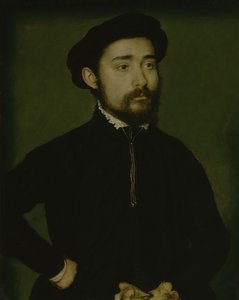 Ritratto di un uomo con un guanto da Corneille de Lyon
