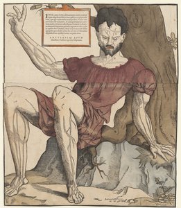 Le vene del corpo umano da Cornelis Anthonisz.