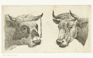 Testa di toro con corda alle corna e testa di mucca da Cornelis  Bisschop