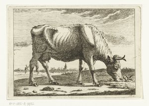 Paesaggio con mucca al pascolo (Mucche) da Cornelis  Bisschop