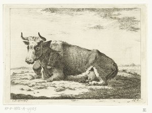 Paesaggio con mucca sdraiata con corna da Cornelis  Bisschop