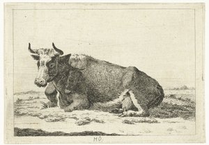 Paesaggio con mucca sdraiata con corna