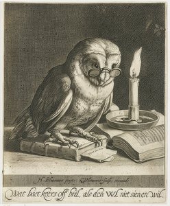 Gufo con occhiali e libri. Circa 1625