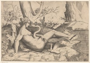 Leda e il cigno da Cornelis Bos (possibly)