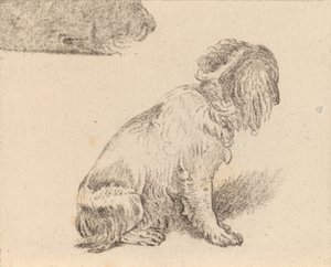 Cane seduto da Cornelis Brouwer