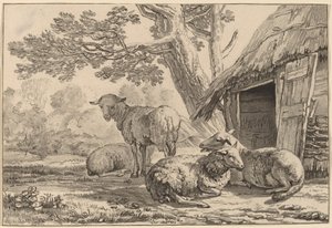 Sheepcote da Cornelis Brouwer