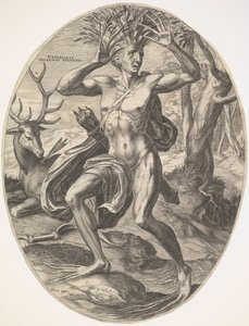 Ciparisso dalla serie Gli Dei Rurali, 1565