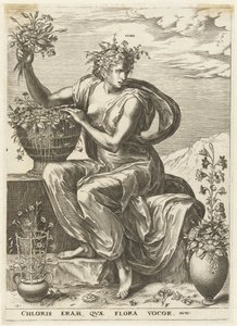Flora da Cornelis Cort