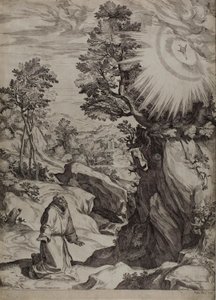 San Francesco penitente in un grande paesaggio da Cornelis Cort