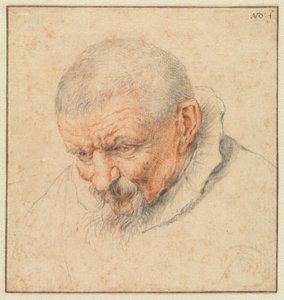 La testa di un vecchio da Cornelis Dusart