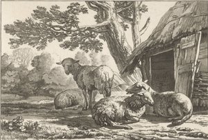 Ovile da Cornelis Ploos van Amstel (signed by artist)