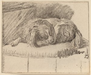 Cane sdraiato da Cornelis Ploos van Amstel