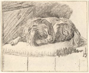 Cane che dorme, 1777