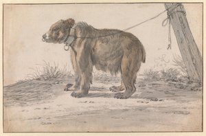  da Cornelis Saftleven