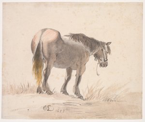Cavallo su un tumulo da Cornelis Saftleven