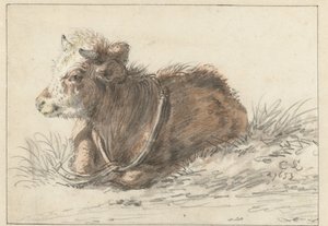Vitello sdraiato, verso sinistra da Cornelis Saftleven