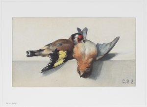 Natura morta con due uccelli morti