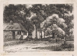 Casa tra gli alberi