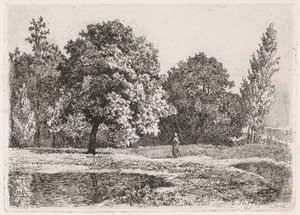 Paesaggio con alberi, lago e una donna (Quinta suite) da Cornelis Steffelaar