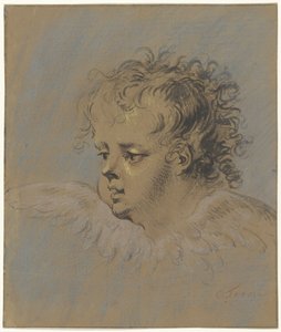 Testa d