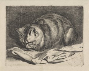 Piccolo gatto da Cornelis Visscher (II)