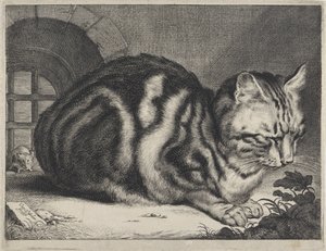 Il Grande Gatto da Cornelis Visscher (II)