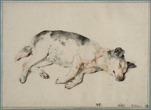  da Cornelis Visscher