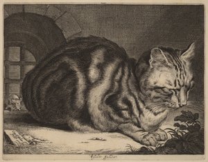 Il grande gatto