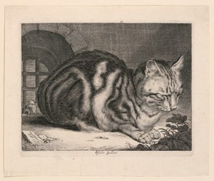 Il grande gatto da Cornelis Visscher