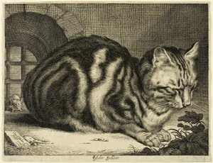 Il grande gatto da Cornelis Visscher