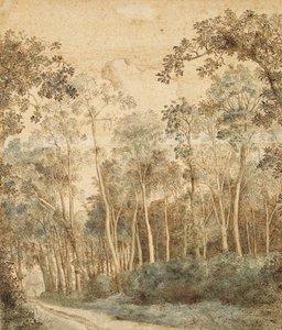 Paesaggio boscoso da Hendrick Cornelisz. Vroom