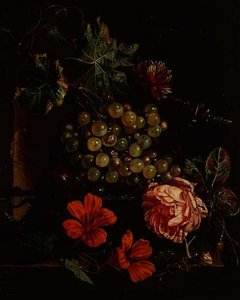 Uva e fiori con scarabeo, lumaca e lucertola da Cornelis de Heem