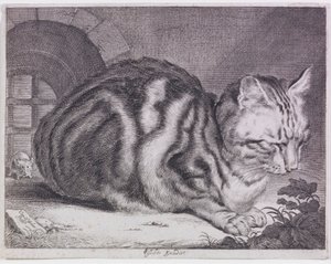 Il grande gatto da Cornelis de Visscher