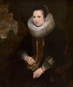  da Cornelis de Vos