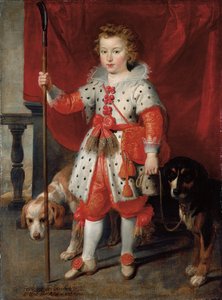 Ritratto di un Ragazzo, Tradizionalmente Chiamato Francois de Boisschot