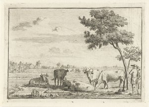 Cinque mucche in un prato da Cornelis van Noorde