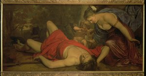 Venere piange la morte di Adone da Cornelius Holsteyn