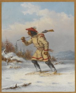 Seguendo l