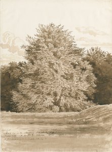 Wrottesley Hall - Il giardino da Cornelius Varley