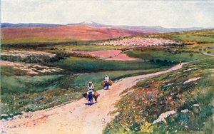 Cana dalla Strada per Nazareth