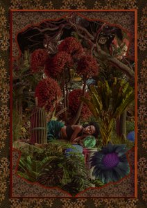 Giardino fantastico della donna addormentata da CosmoZach