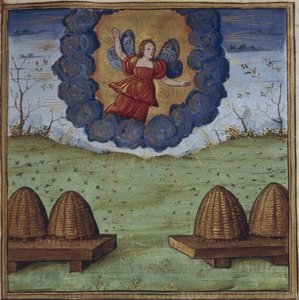 Illustrazione per le Georgiche di Virgilio da Coëtivy Master