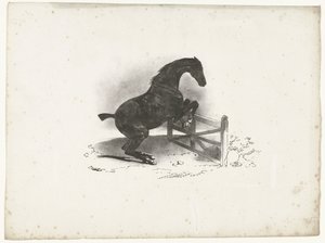 Cavallo che salta una barriera