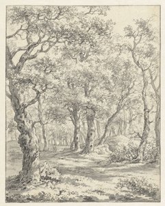 Paesaggio boschivo da Couwenhoven