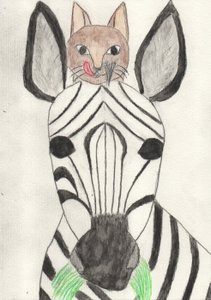 Il Mio Amico la Zebra