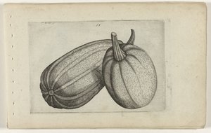 Due meloni da Crispijn van de Passe (I) (attributed to)