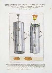 Dispositivo per ripiantare fiori, da 