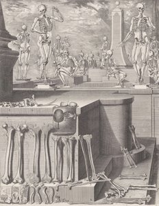 Tavola per l